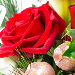 1079_Detail_2.jpg
